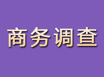 崆峒商务调查